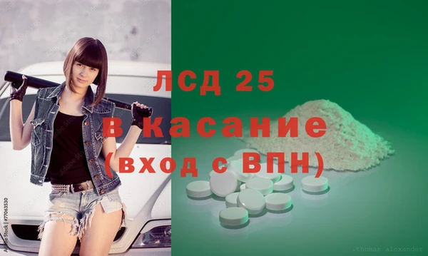 индика Арсеньев