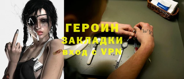 индика Арсеньев