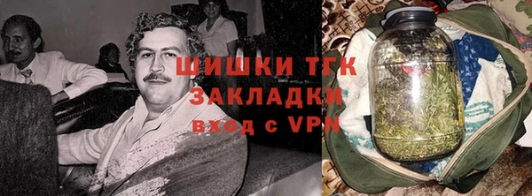 индика Арсеньев