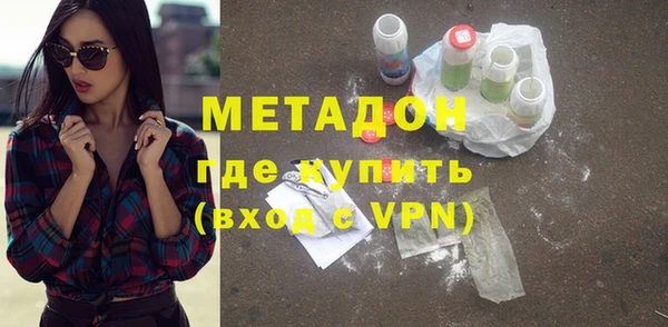 индика Арсеньев