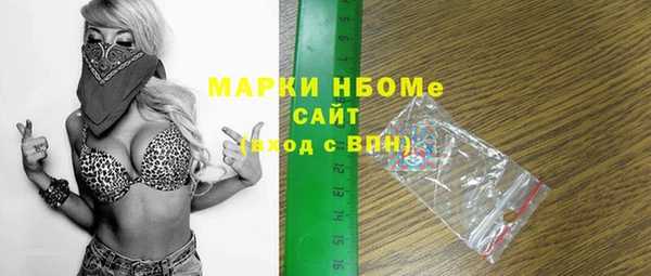 индика Арсеньев