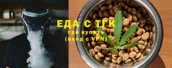 индика Арсеньев