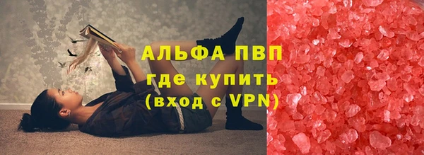 индика Арсеньев