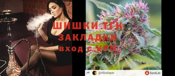 индика Арсеньев