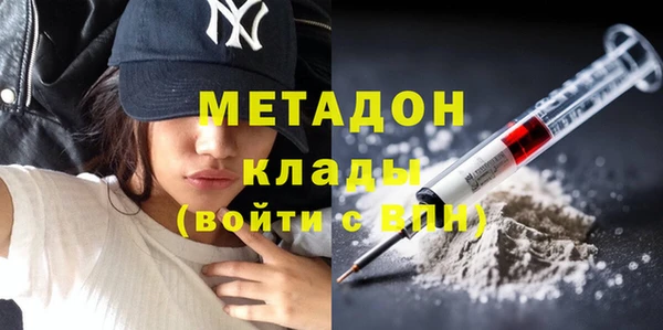 индика Арсеньев