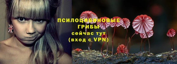 СК Армянск