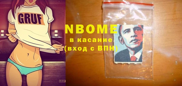 индика Арсеньев