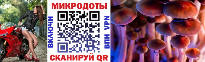 OMG как войти  площадка телеграм  Псилоцибиновые грибы GOLDEN TEACHER  цена   Суджа 